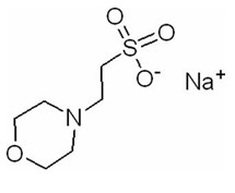 Соль натрия CAS 71119-23-8 MES-NA 2 (N-Morpholino) Ethanesulfonic кисловочное